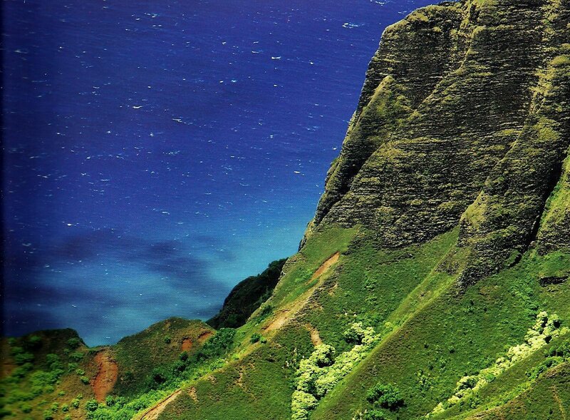 Green Cliffside Overlooking Ocean
