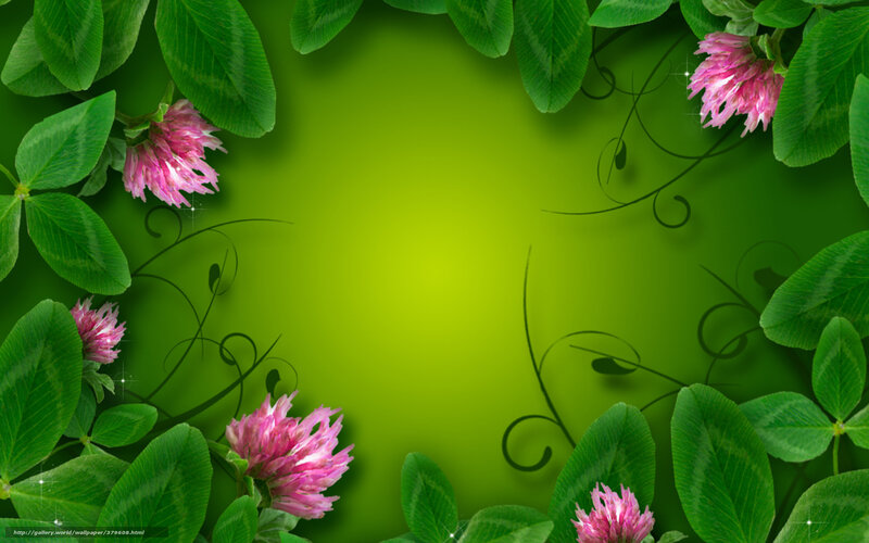 green clover and pink flowers
