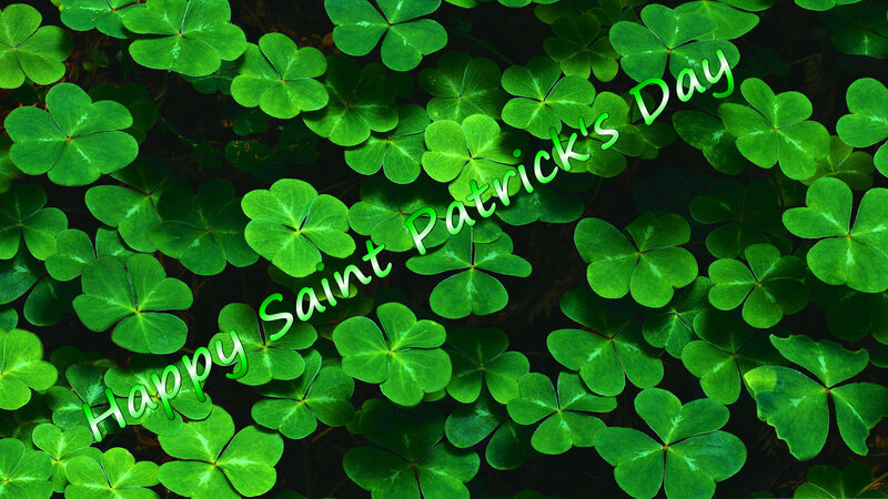 Green Clover Leaves — Festive, Photograph