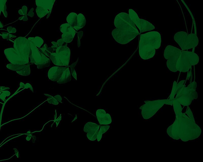green clover leaves on black