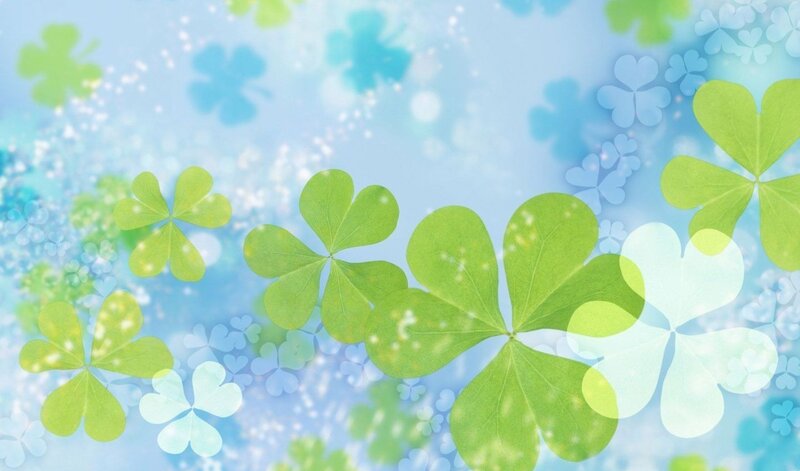 green clover leaves on blue background