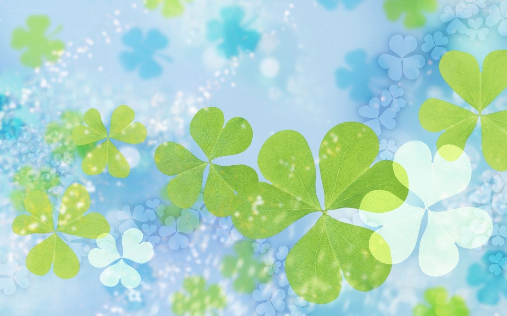 green clover leaves on blue