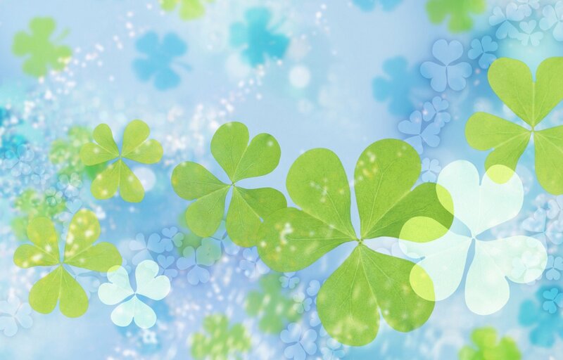 Green Clover Leaves — Serene