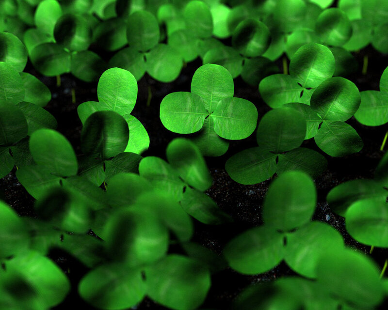 Green Clover Plants — Natural, Photograph, Soil, Black