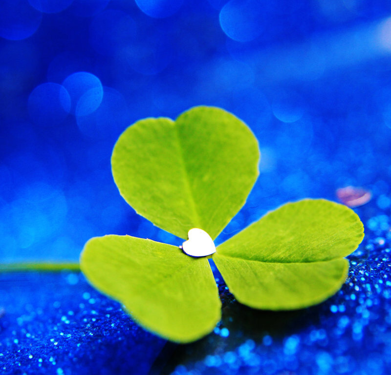 Green Clover with Heart
