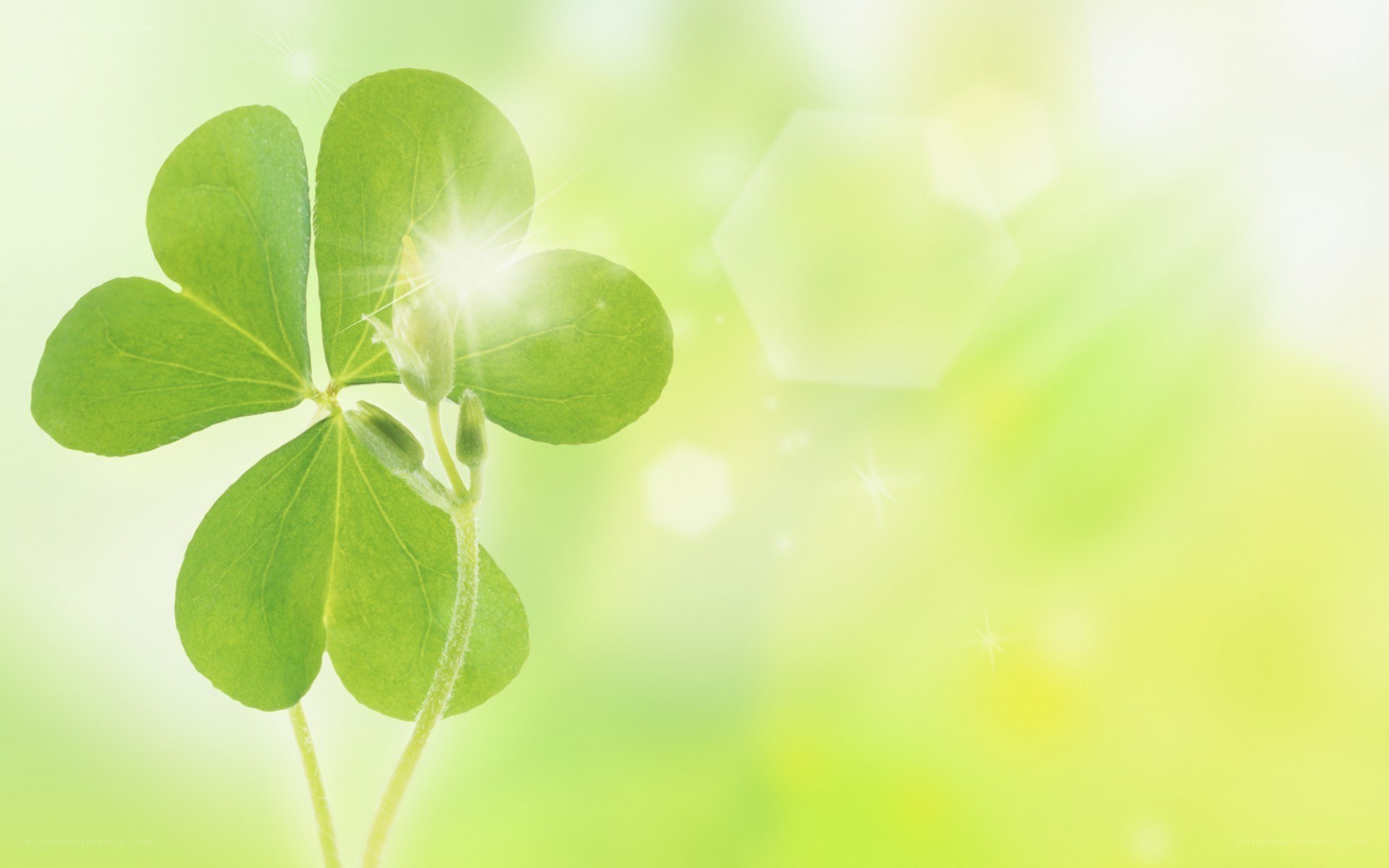 Green clover with sunburst