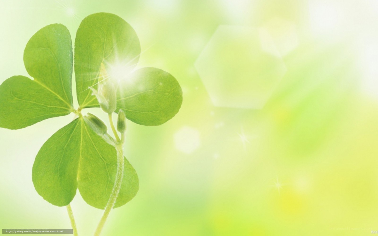 Green clover with sunburst