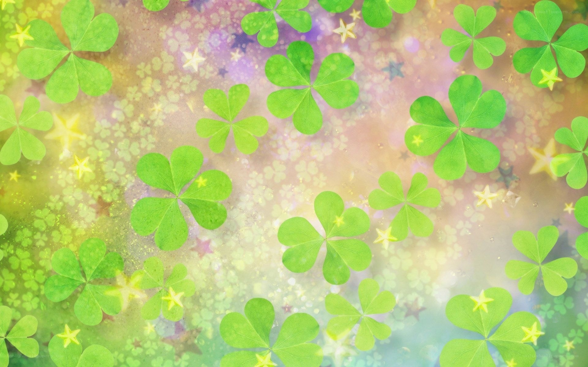 green clovers with stars