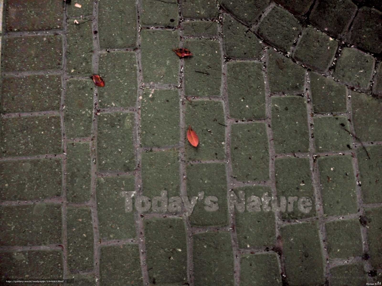 green cobblestone path