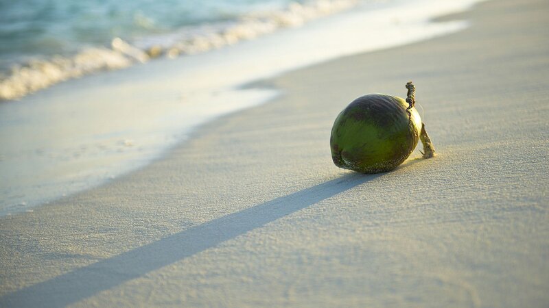 Green Coconut on Beach