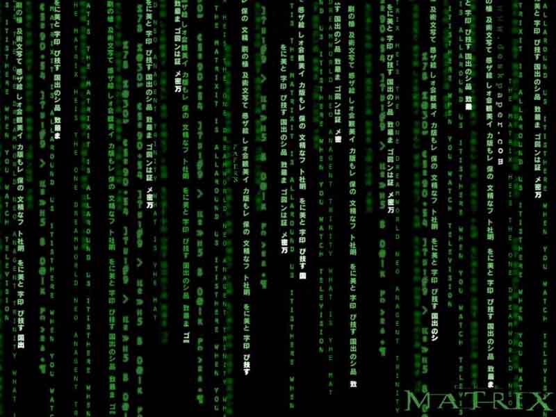 Green Code Rain — Black, Dramatic, Digital Art, Digital Text, Matrix Logo