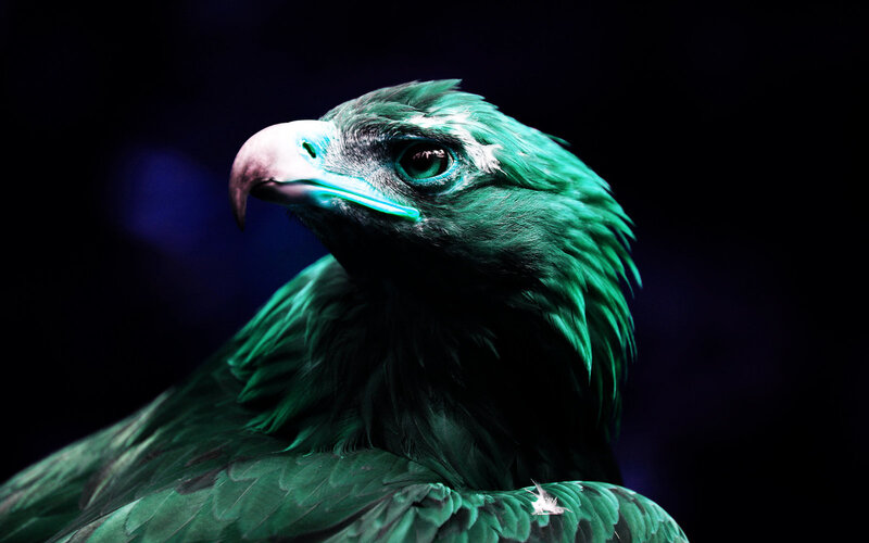 Green-colored Eagle