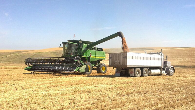 Green Combine Harvester — Serene