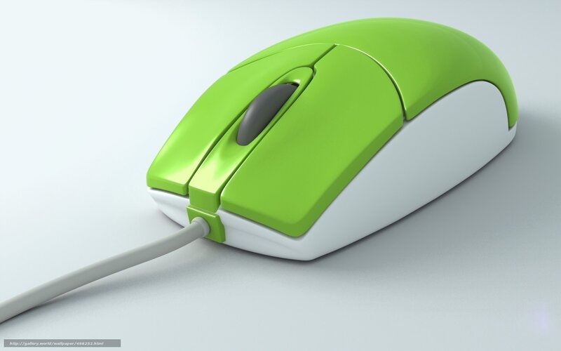 Green Computer Mouse