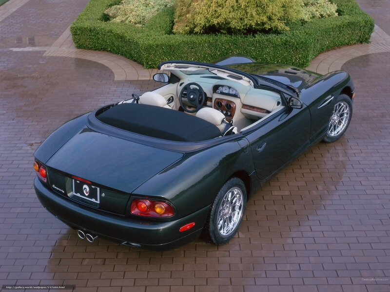 Green Convertible Car — Calm, Photograph, Hedge
