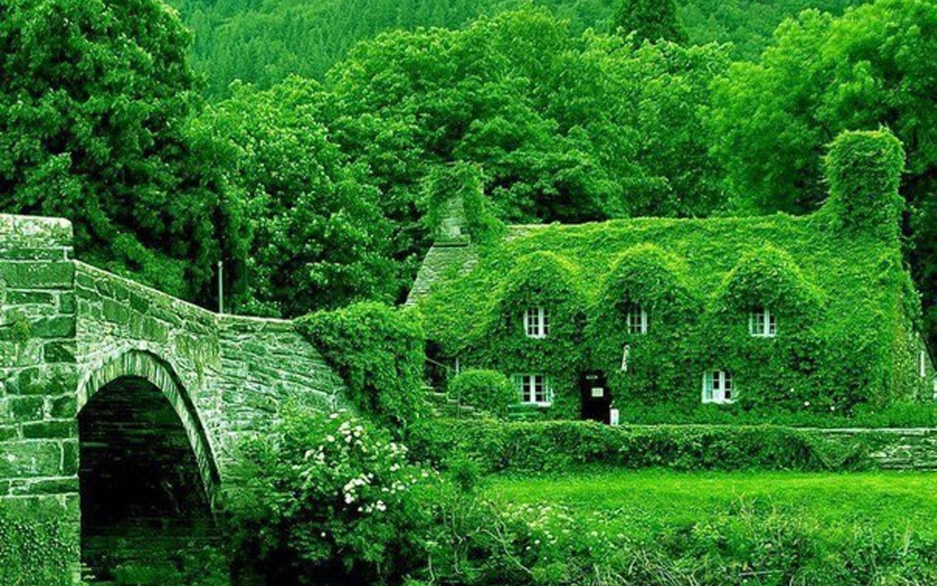 green cottage by stone bridge