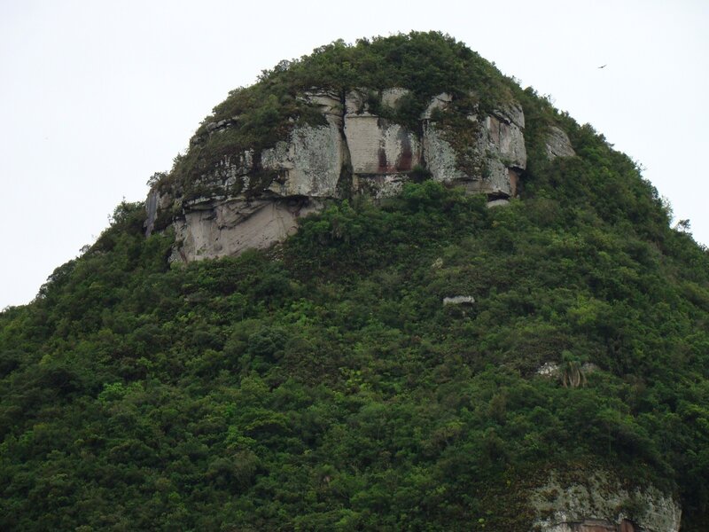 green-covered mountain peak