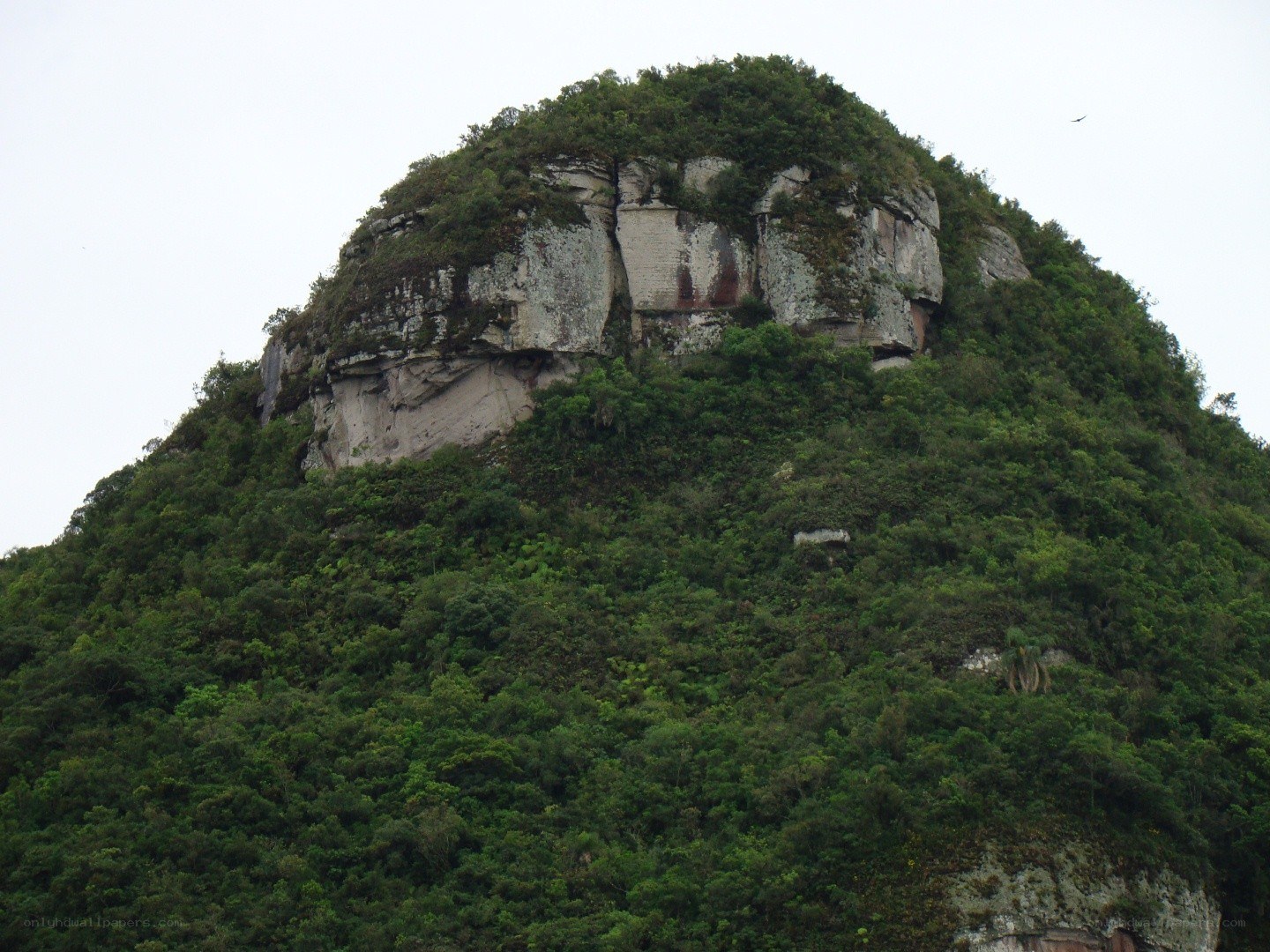 green-covered mountain peak