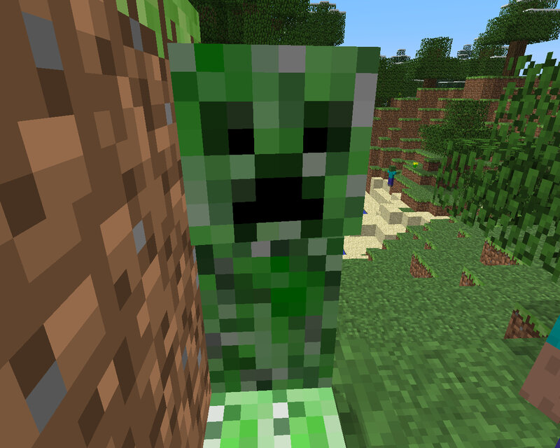 Green Creeper in Forest