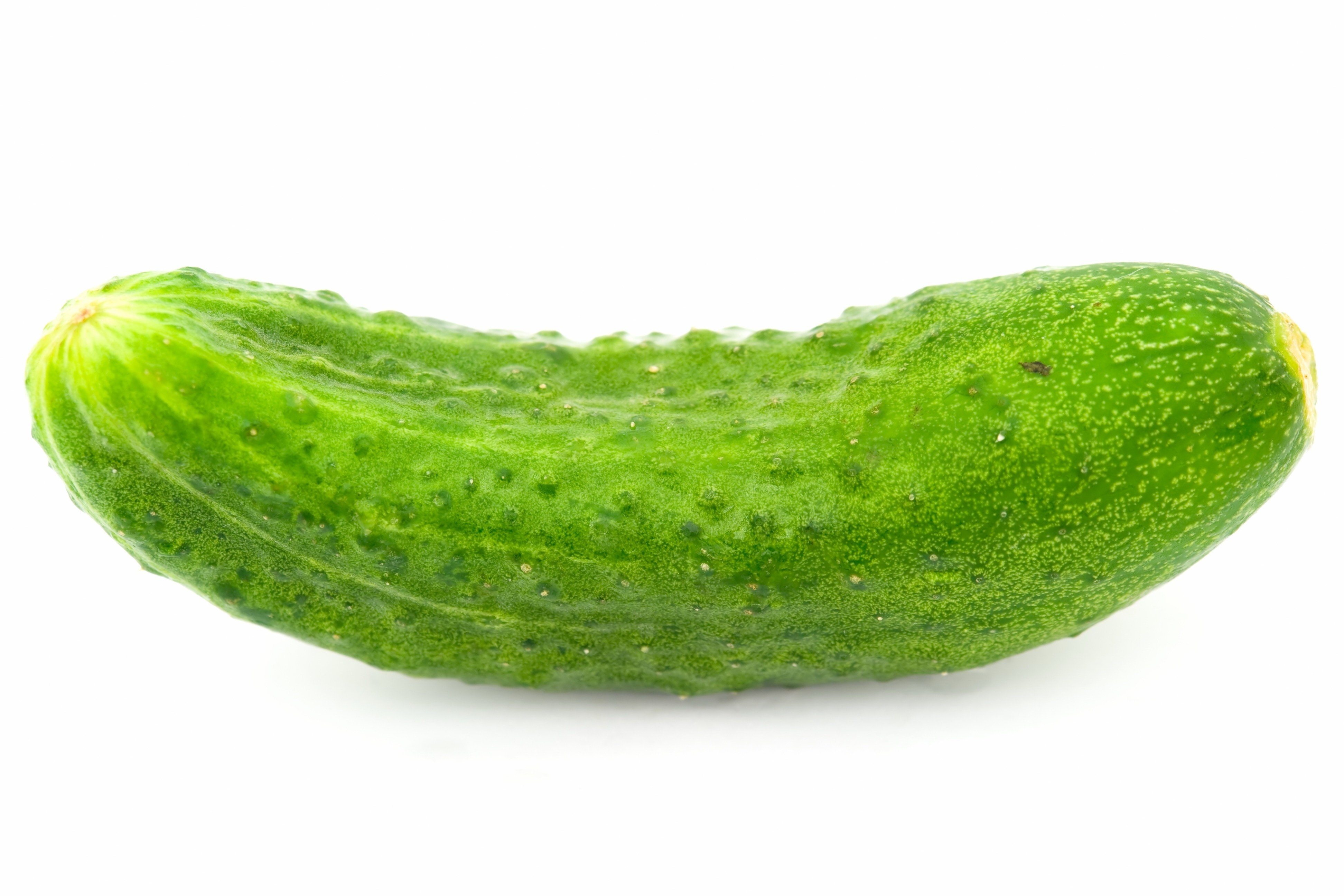 green cucumber on white background