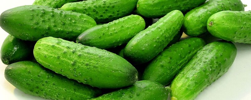 Green Cucumbers
