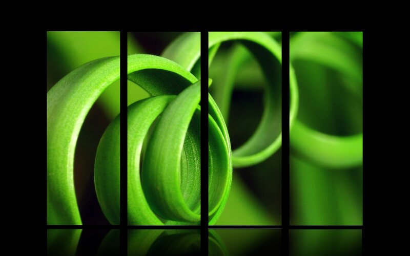 Green Curled Leaf — Calm
