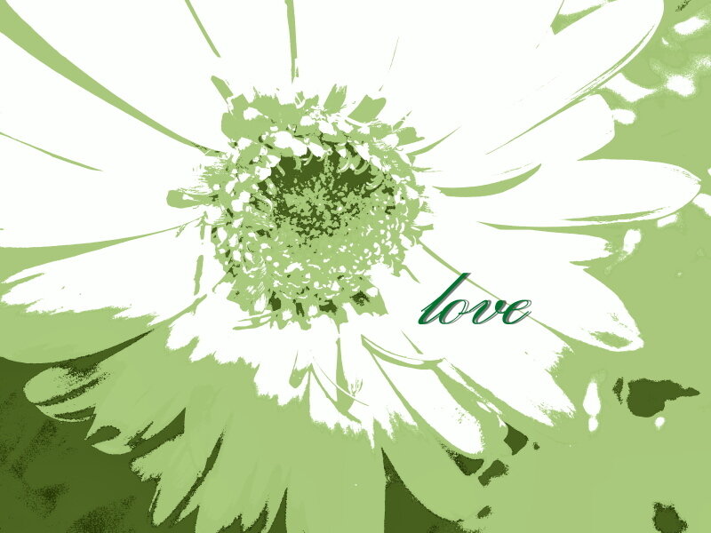 Green Daisy Flower