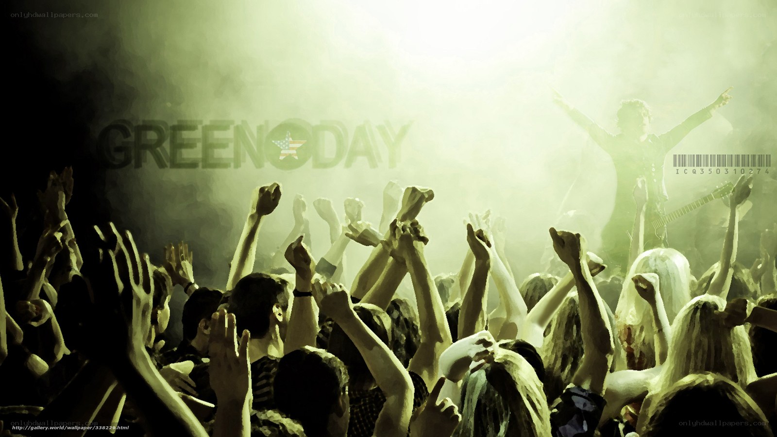 Green Day concert crowd