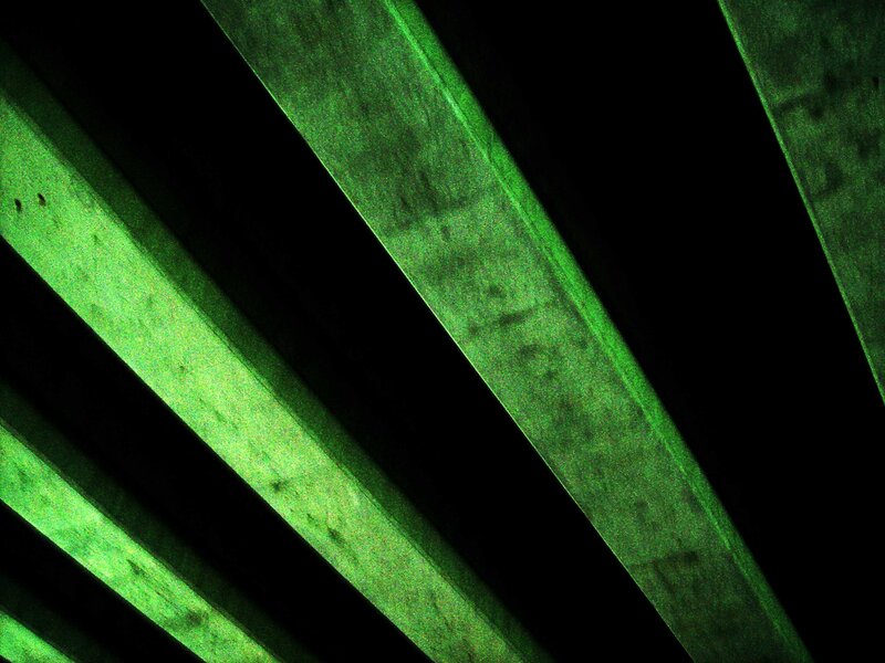 green diagonal lines pattern