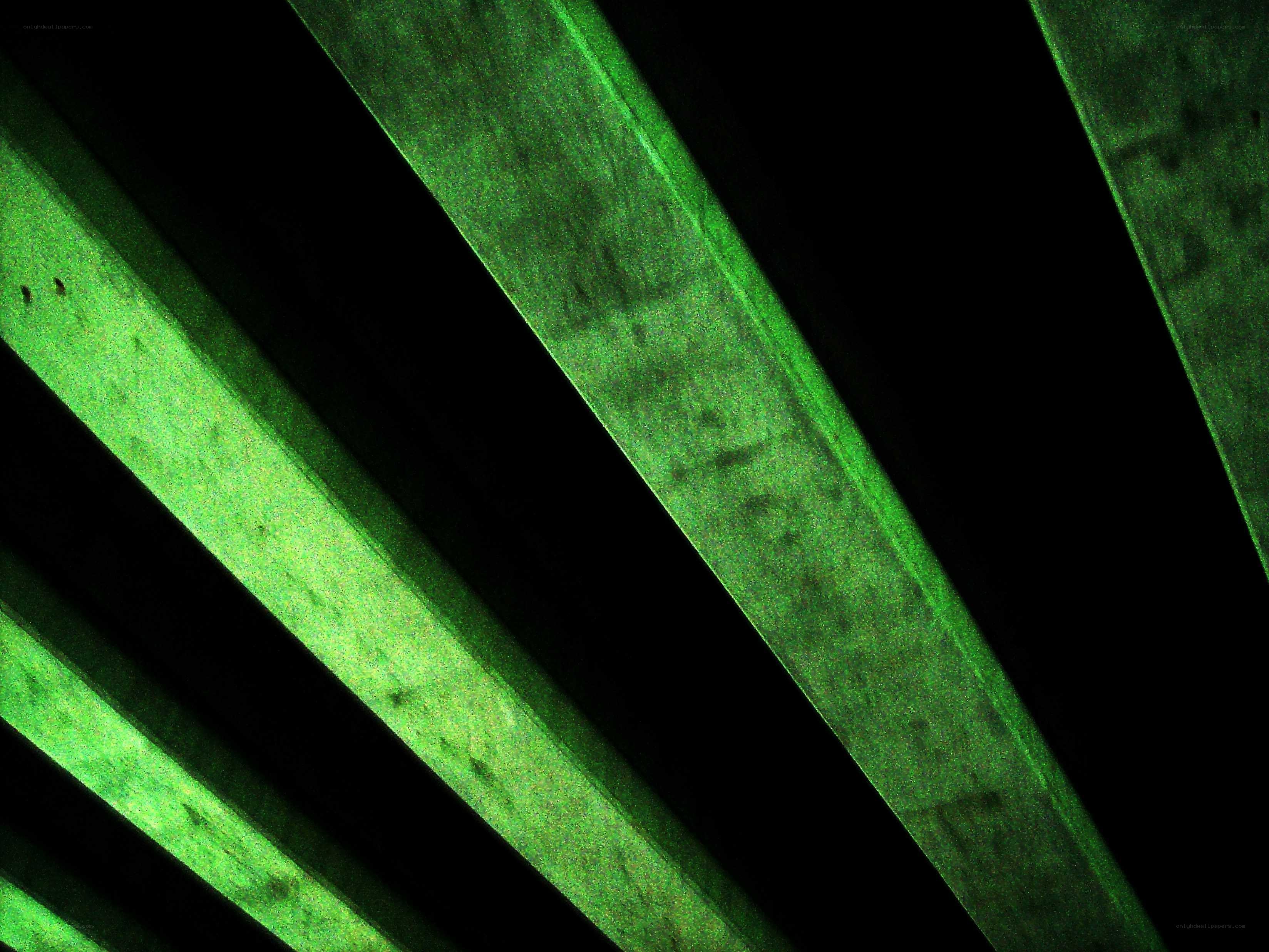 green diagonal lines pattern