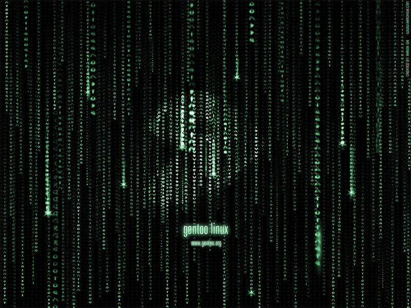 Green Digital Rain — Black, Dramatic, Digital Art, Text, Code, Matrix