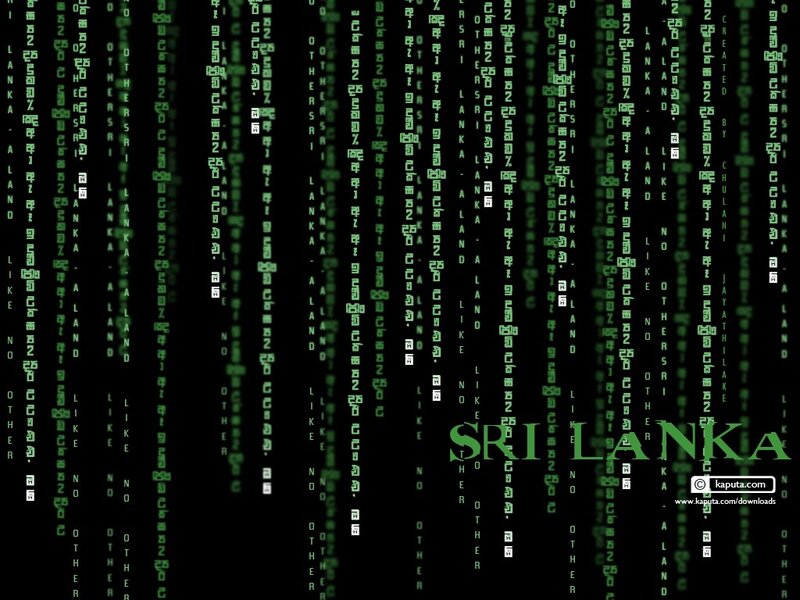Green Digital Rain — Black