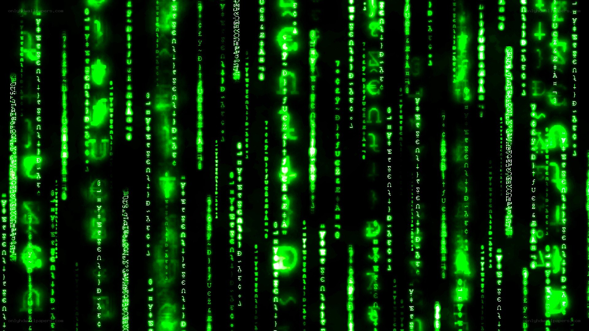 green digital rain code