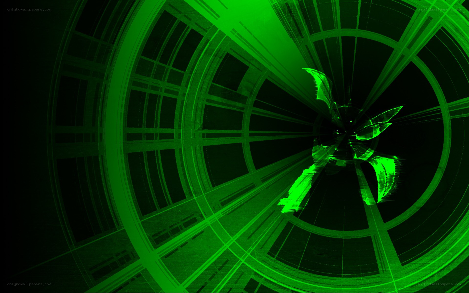 green digital tunnel animation