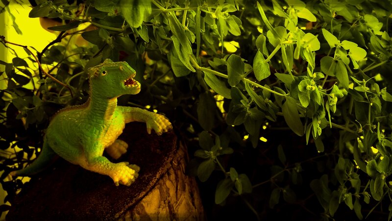 Green Dinosaur Toy — Dramatic