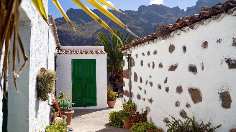 Green Door in Courtyard