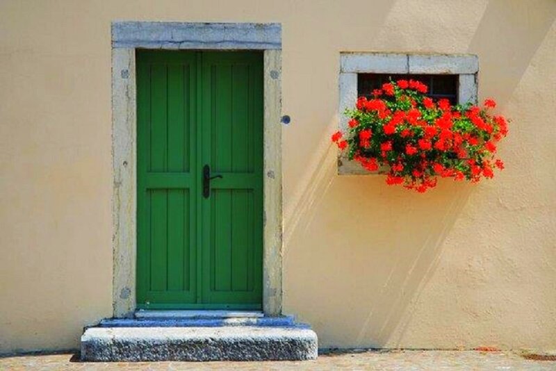 Green Door with Flowers — Serene, Afternoon, Photograph, Window