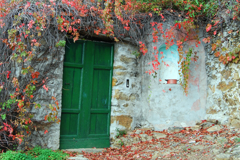 Green Door with Ivy