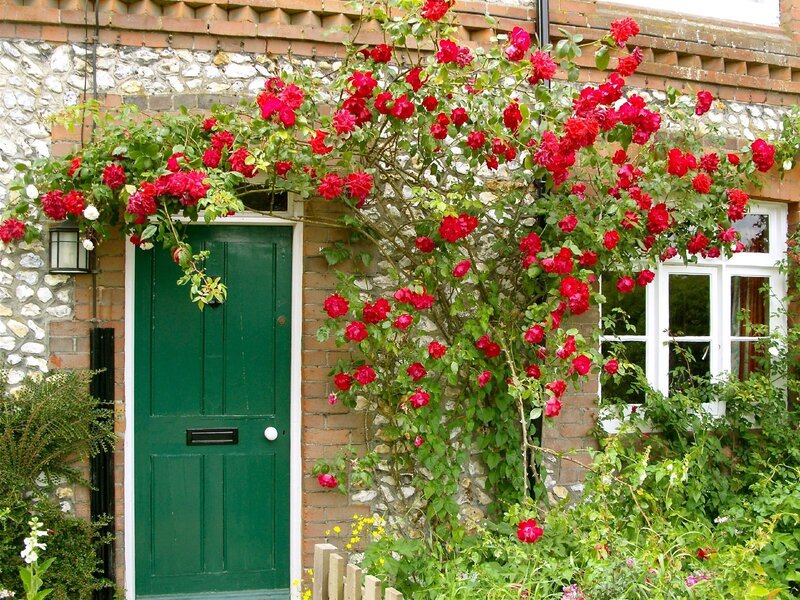 green door with red roses