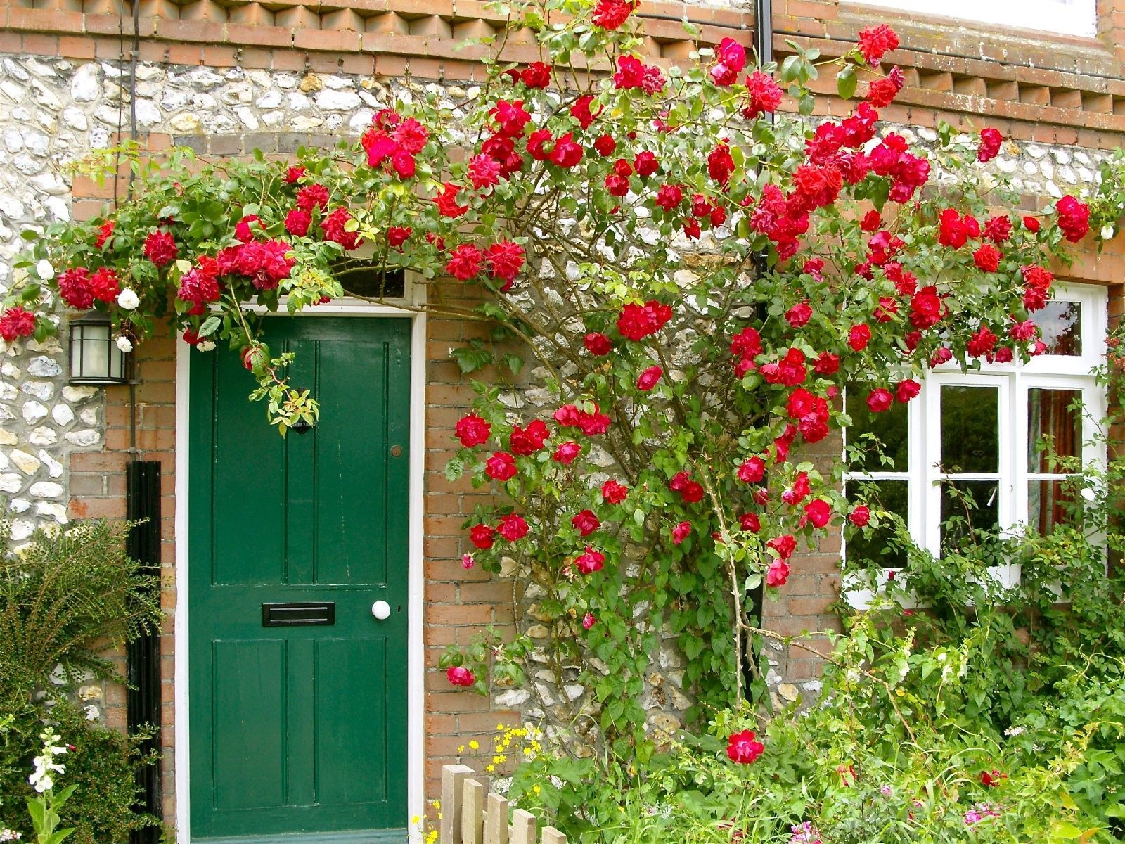 green door with red roses
