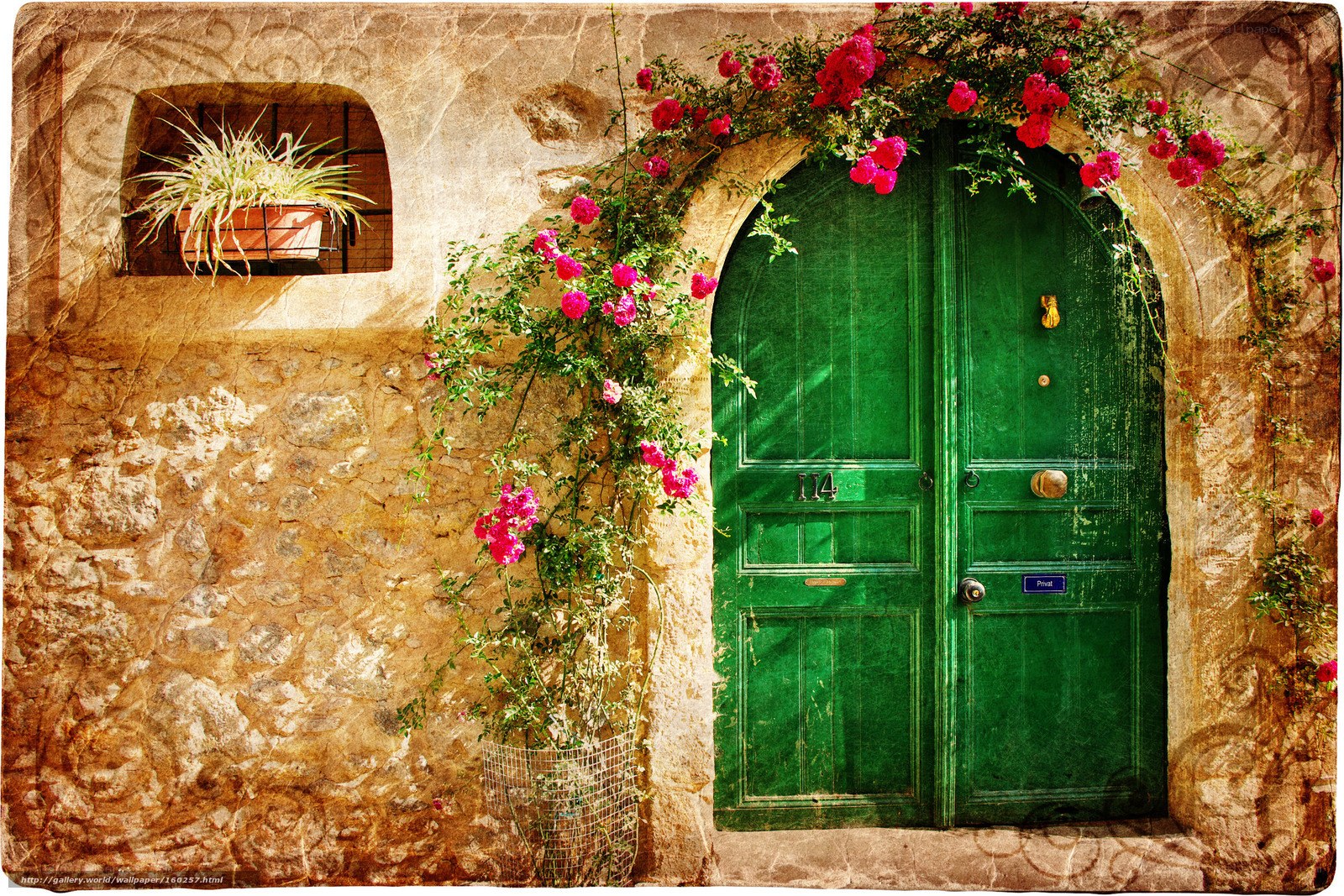 Green door with roses