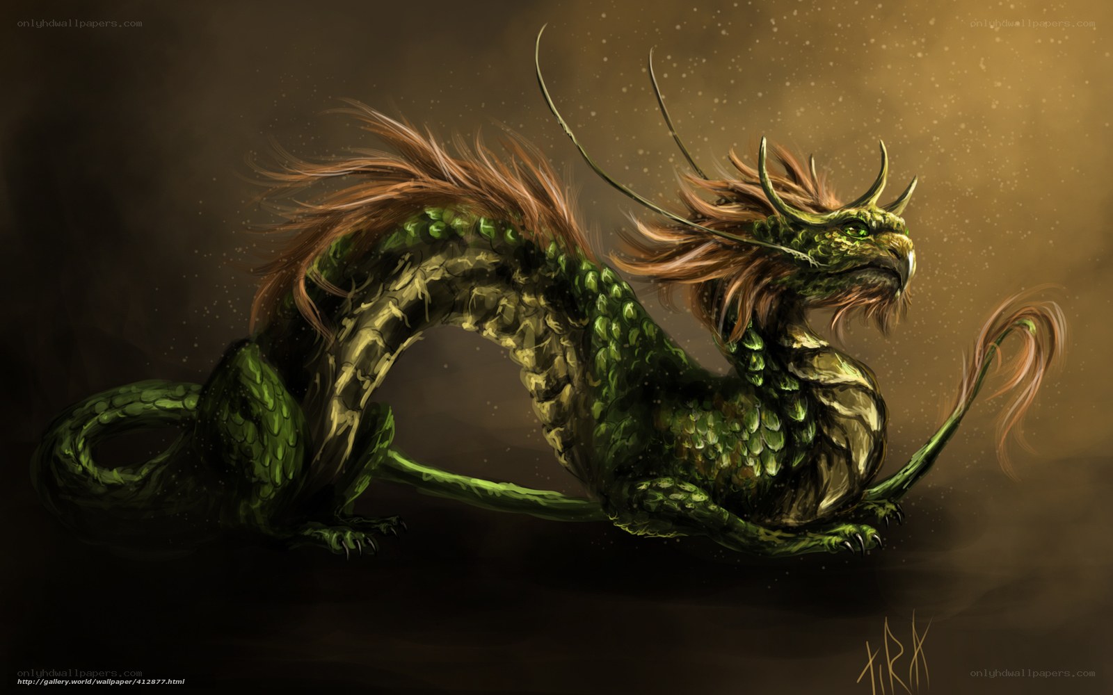 green dragon fantasy creature