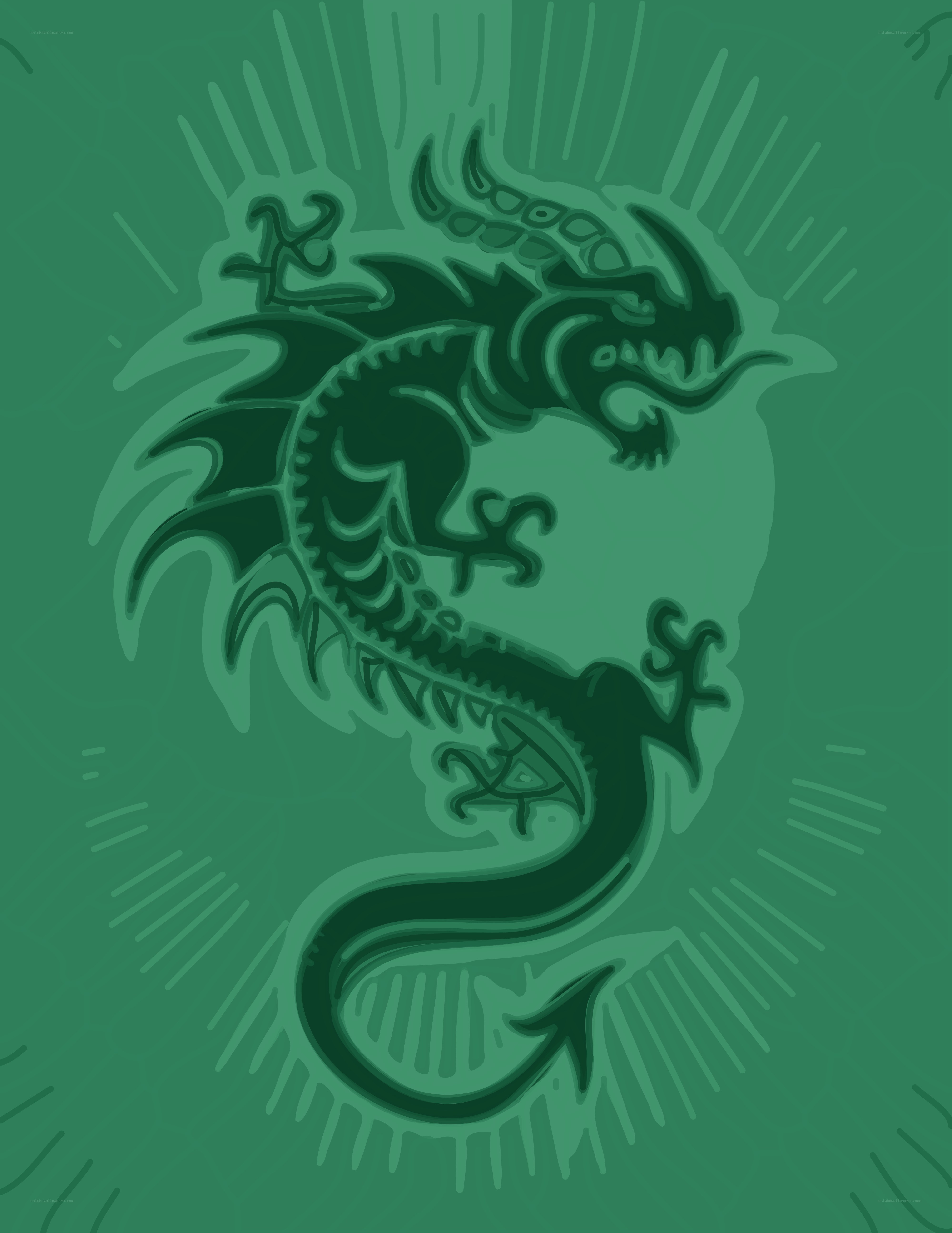 Green dragon illustration