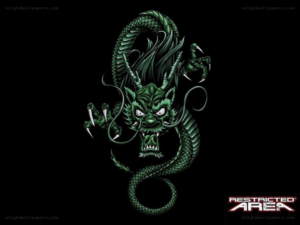 green dragon illustration