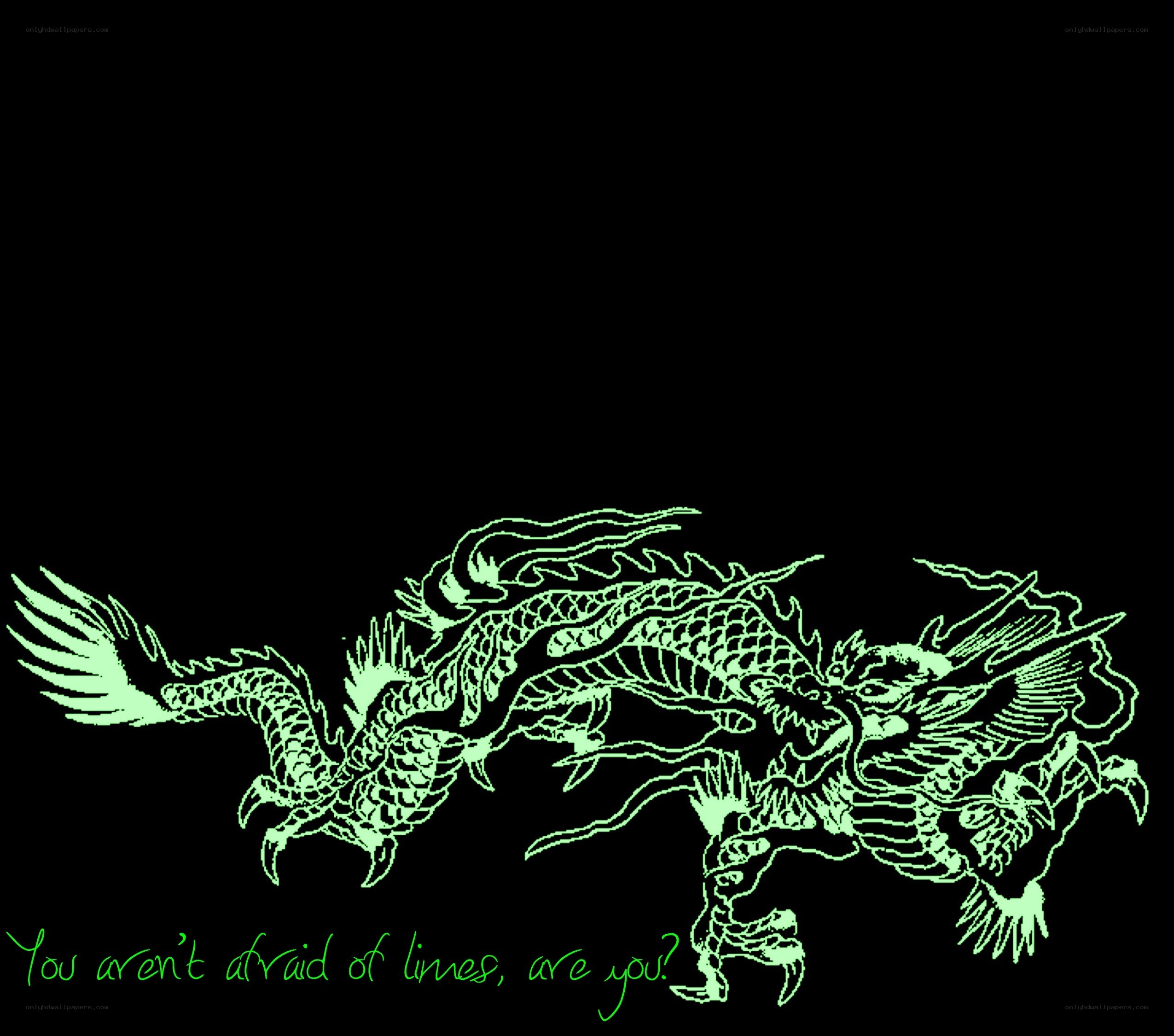 green dragon illustration
