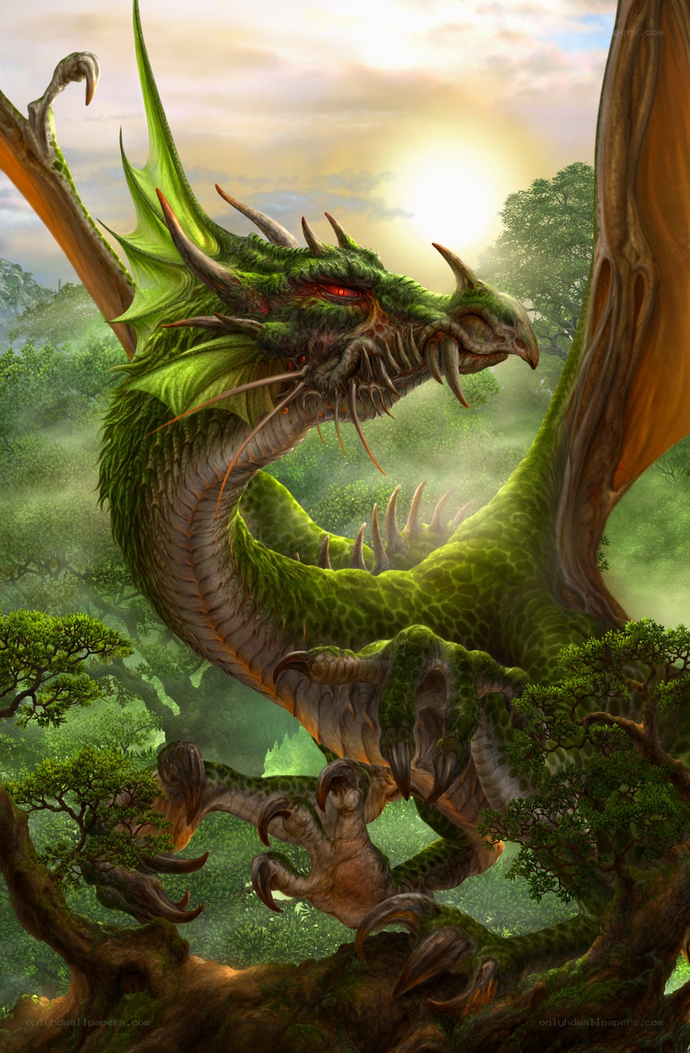Green dragon in forest