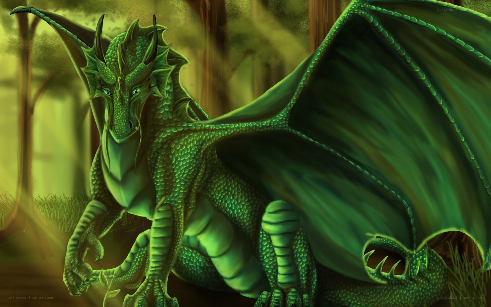 green dragon in forest