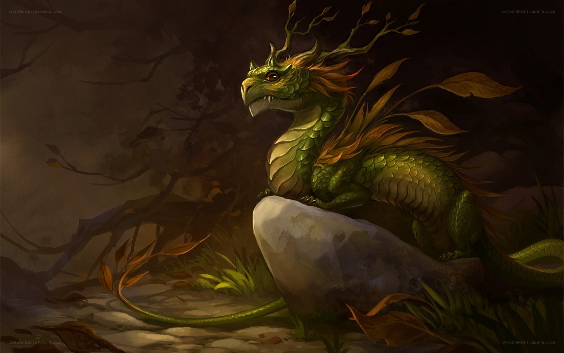 green dragon in forest