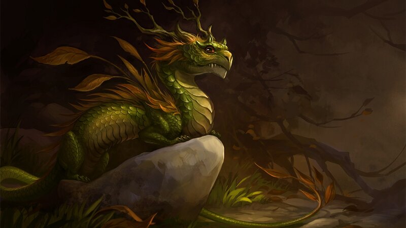 green dragon in forest