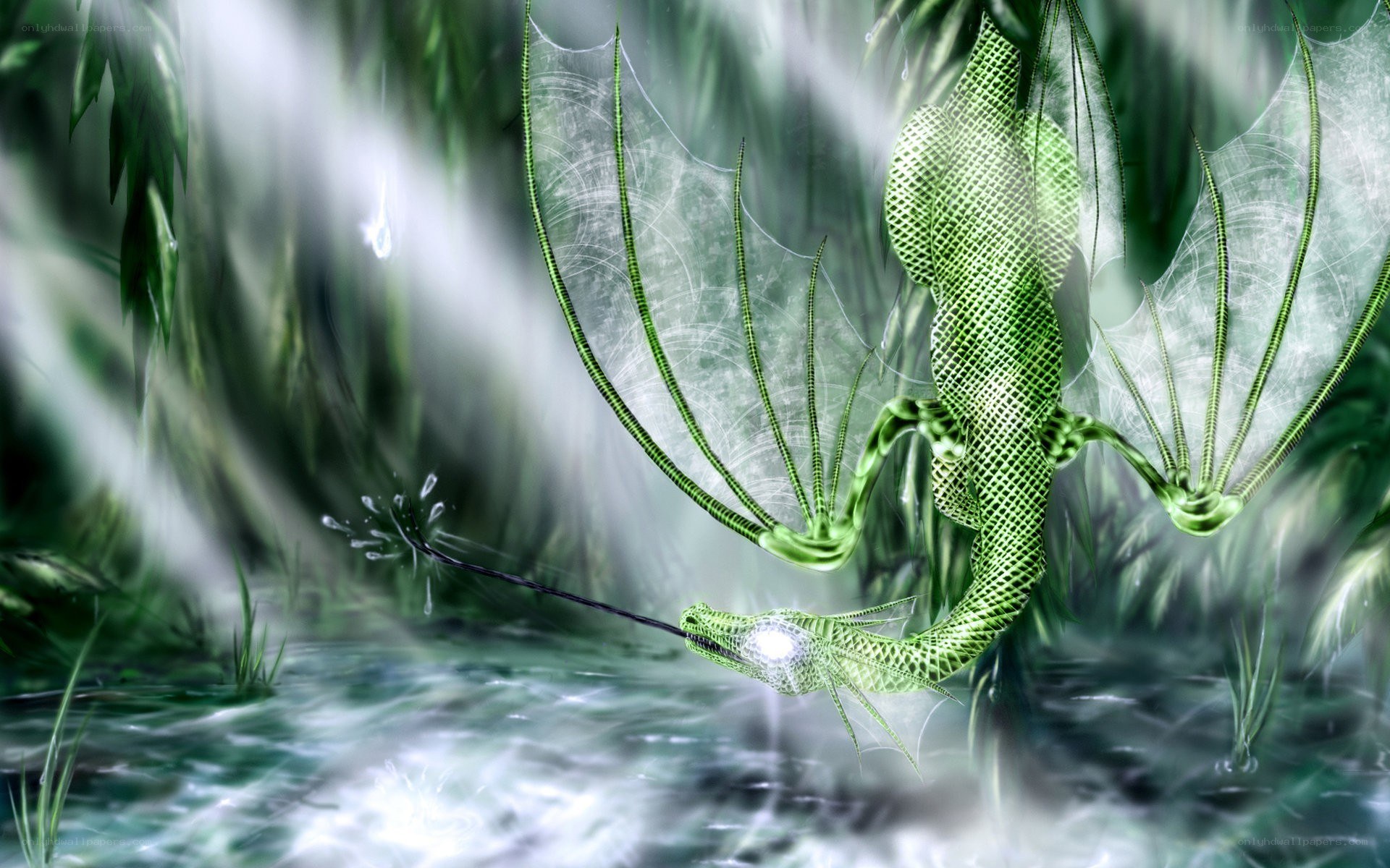 green dragon in misty forest